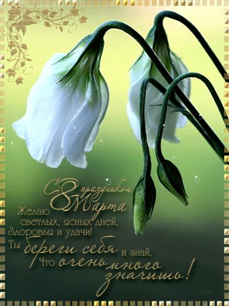 file_45740350