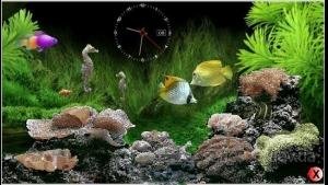 EGi Marine Aquarium 2.2