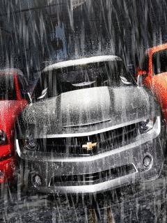 2wd7Wq2bmzo0