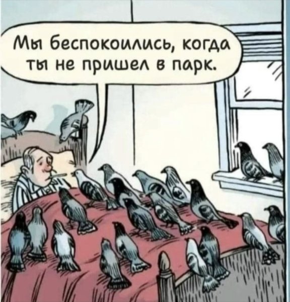 Проведывают