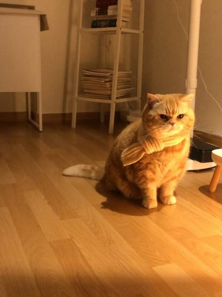 FB IMG 1771321133402