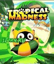 Tropical Madness sgh