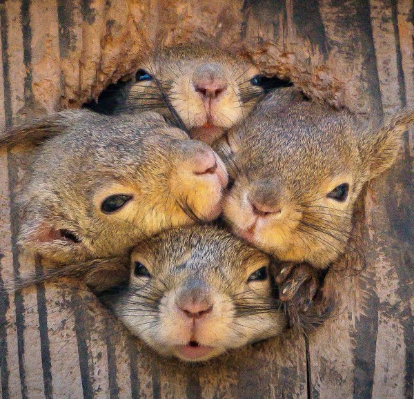 daily picdump 004255 053