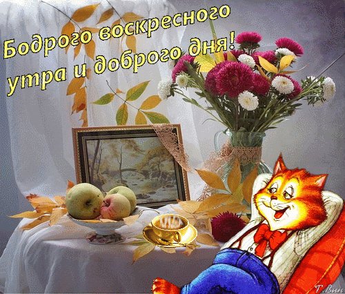 file_91948846