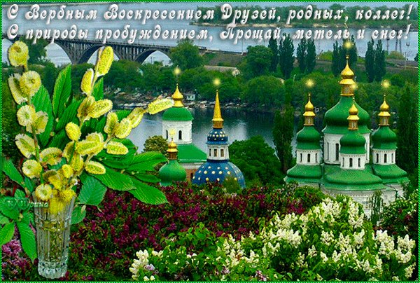 file_46623298