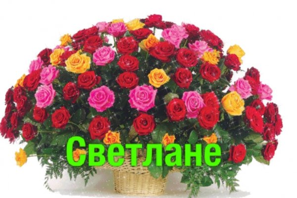 IMG-20250224-WA0056