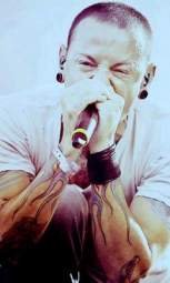 chesterbe cc09e772dadb63439cf89e7bbf8cfb