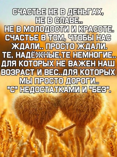 FB IMG 1756025440512