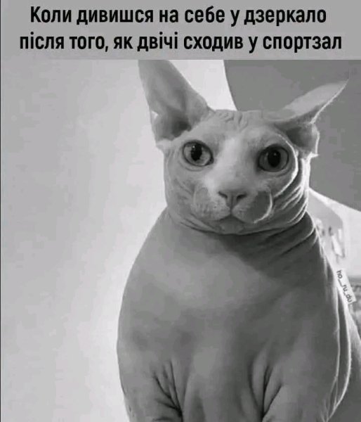 file_103146813
