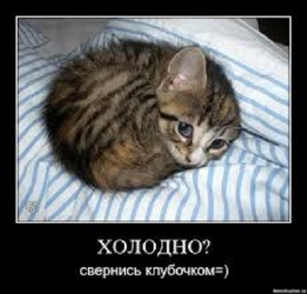 Холодно, свернись клубочком