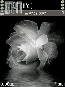 Roseinwate wo