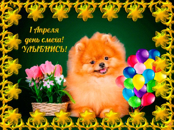 С 1 апреля!Улыбнись!