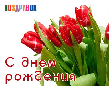 s-dnem-rozhdeniya-tyulpany