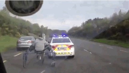 policejskaja mashina i dve uprjajki losh