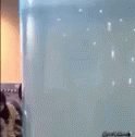 Go