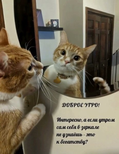 WERDFTYBUI