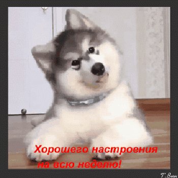 file_75123783