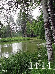 34 nature
