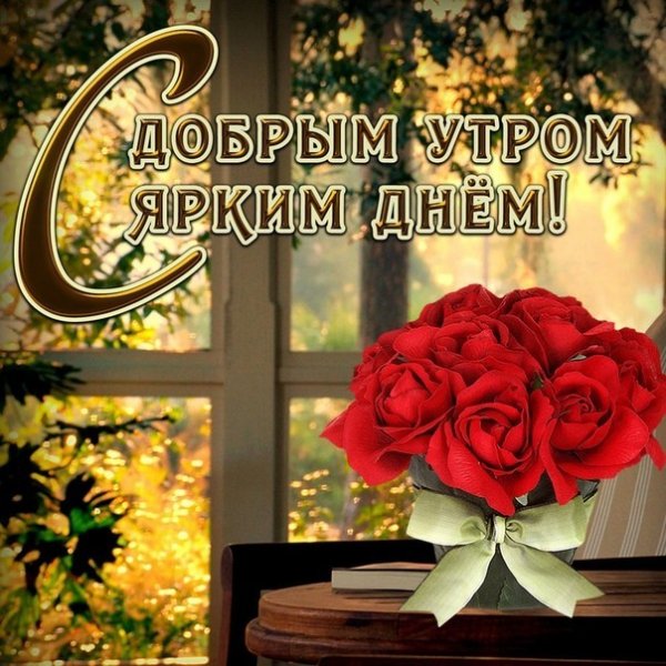 Z6 tK40TSmQ