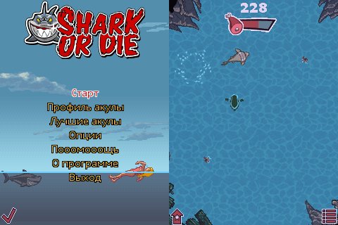SharkOrDie