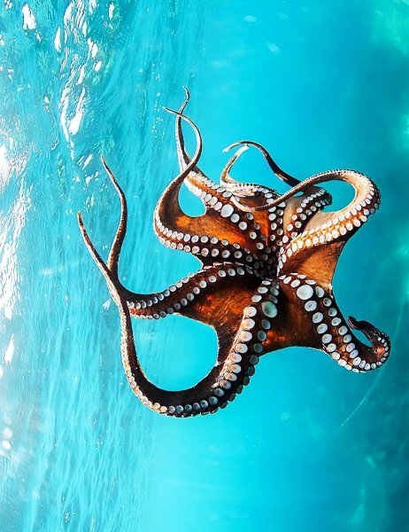 file_97896310