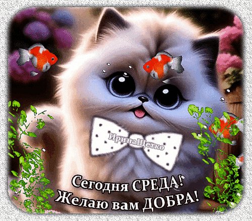Анимированная открытка сегодня среда