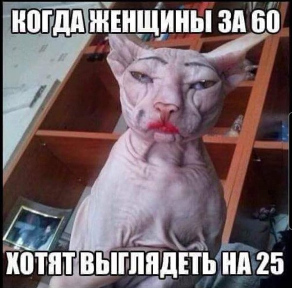 FB IMG 1780949459281