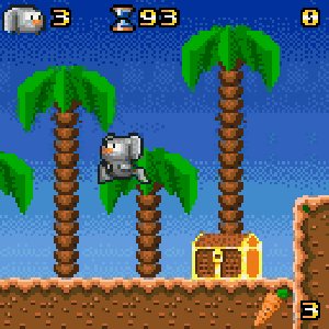 Frunny on Sunny-Island