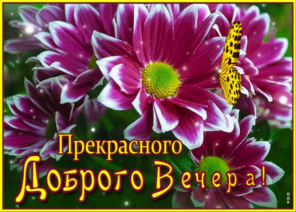 IMG 20220810 103958