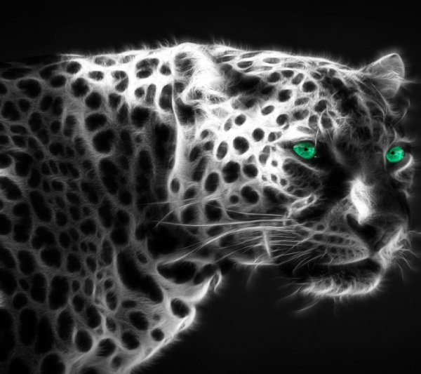 leopard fractal