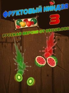 fruit ninja 3