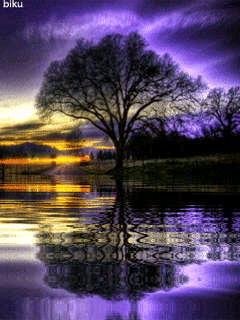 autumn sunset