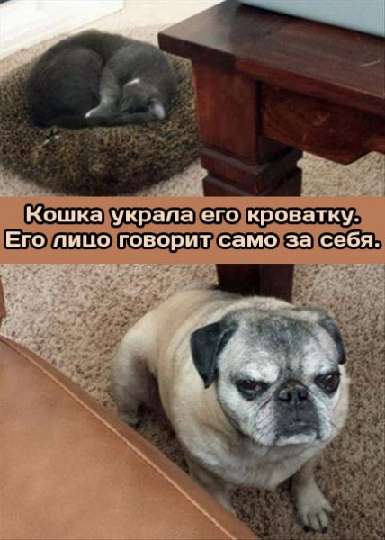 file_102755248