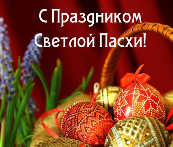 file_84186554