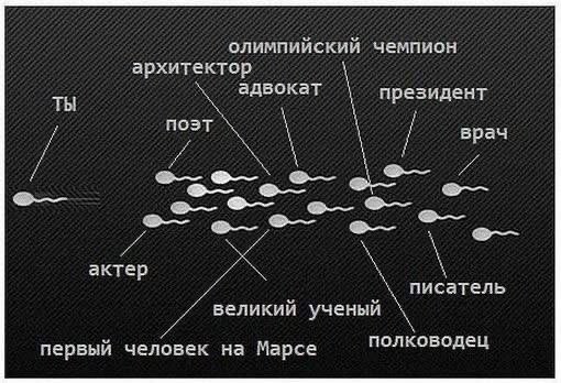 file_102605351