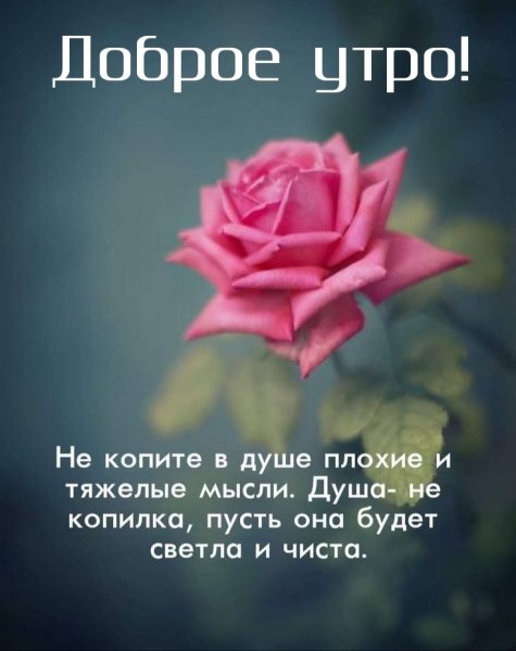 Доброе утро