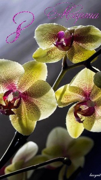file_39136925