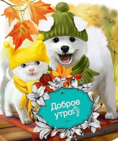 aQ8Ggf7nOWc
