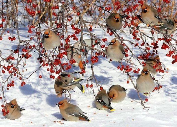 IMG 20161222 135532 0