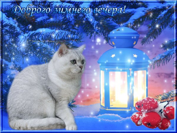 Dobrogo-zimnego-vechera