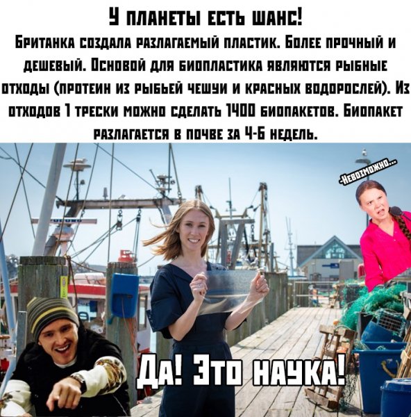 file_79196145