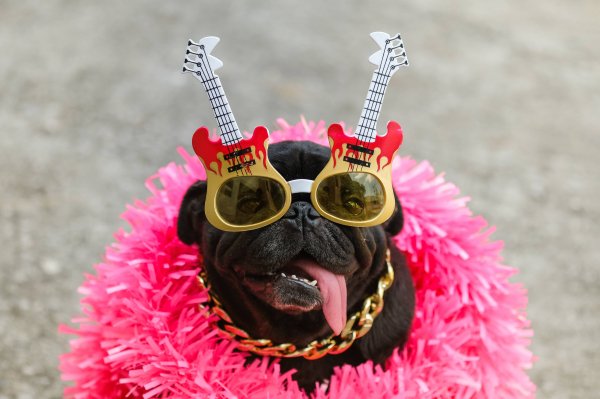 Shutterstock 1557016490