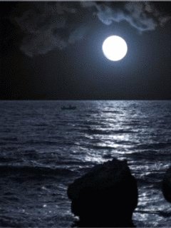 Ночное море