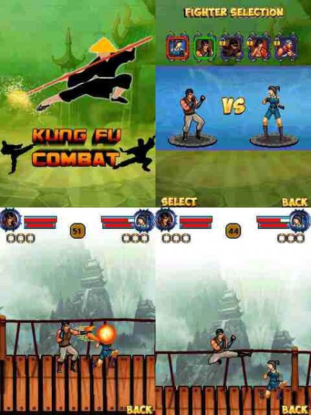 KungfuCombat 240x400 Asha305