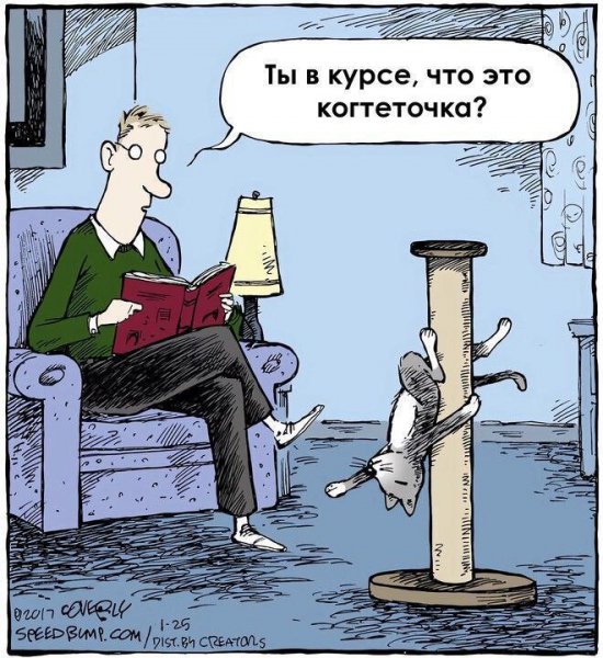 ЮМОР ПРИКОЛЫ СМЕХ (38)