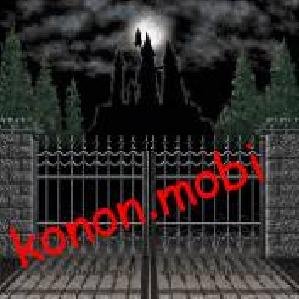 castlevania new 2008 240