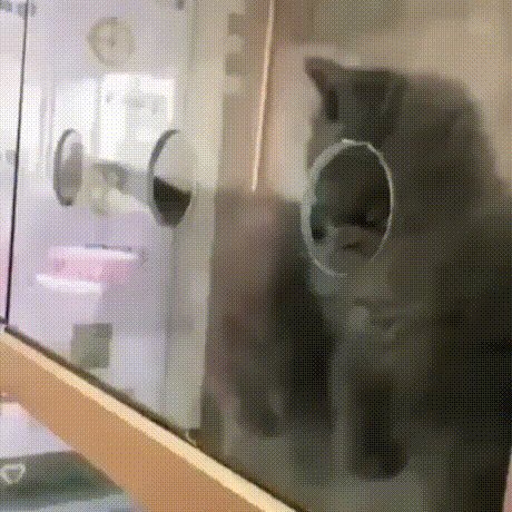 Просочился