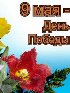 file_56750178