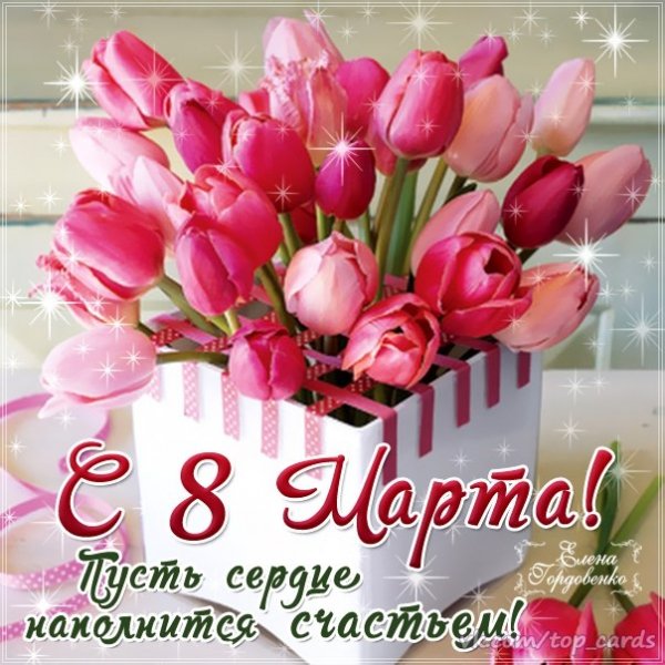 vVDmxGsdIBY
