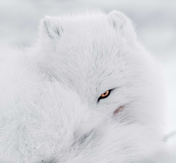 Screenshot 20260402 190826 Facebook (1)